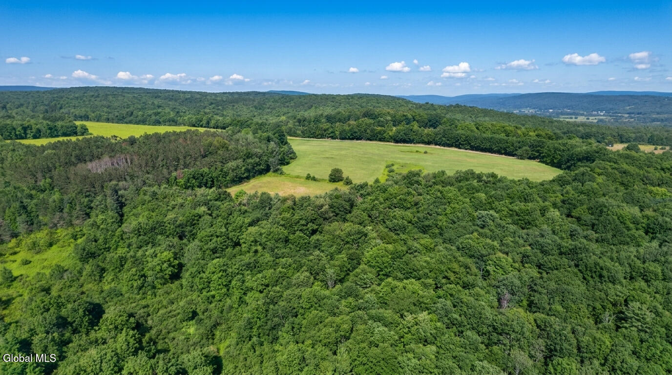 L14.02 Hinman Road Cooperstown NY 13326