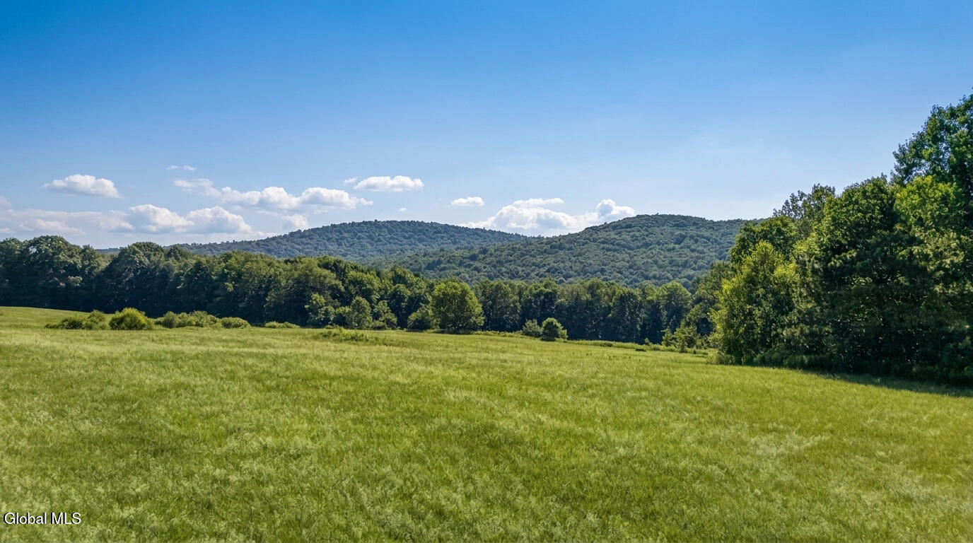 L14.02 Hinman Road Cooperstown NY 13326