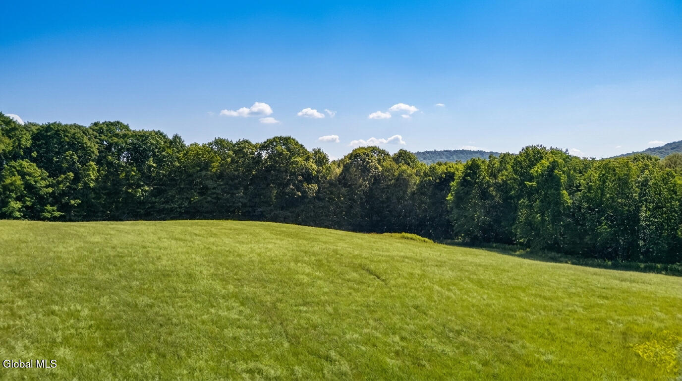 L14.02 Hinman Road Cooperstown NY 13326