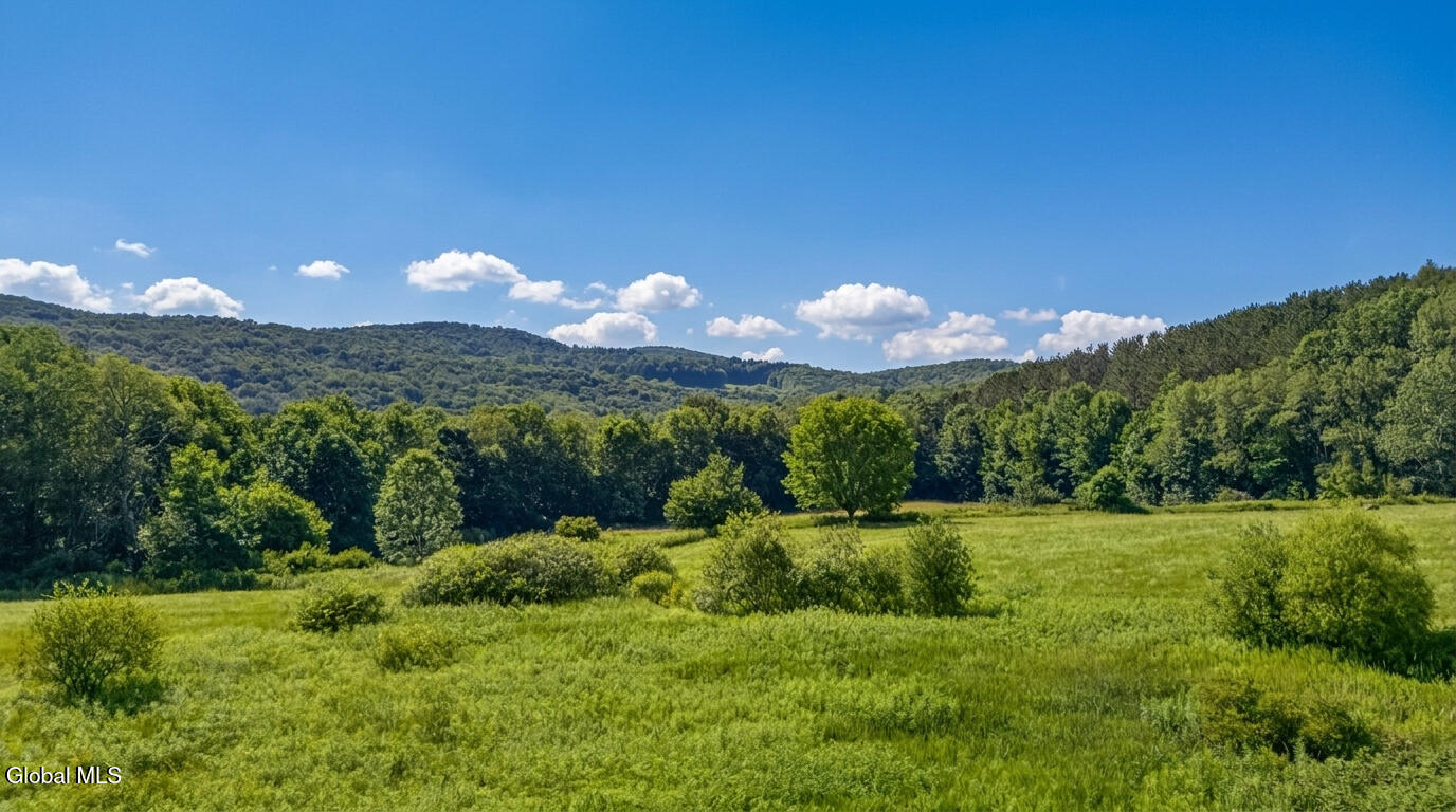 L14.02 Hinman Road Cooperstown NY 13326
