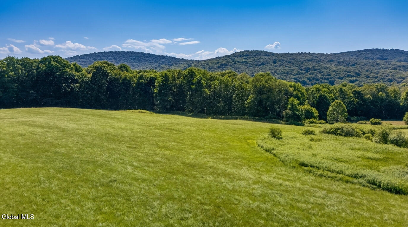 L14.02 Hinman Road Cooperstown NY 13326