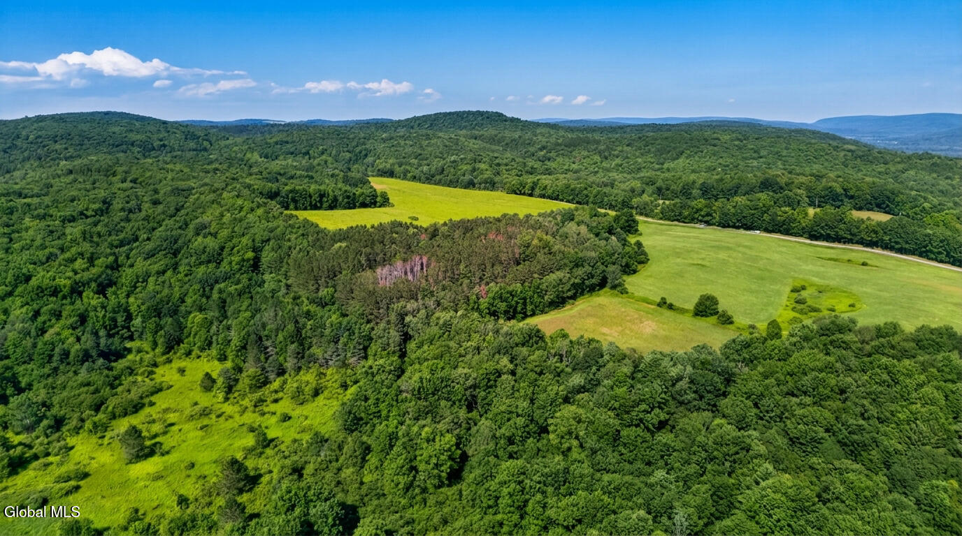 L14.02 Hinman Road Cooperstown NY 13326