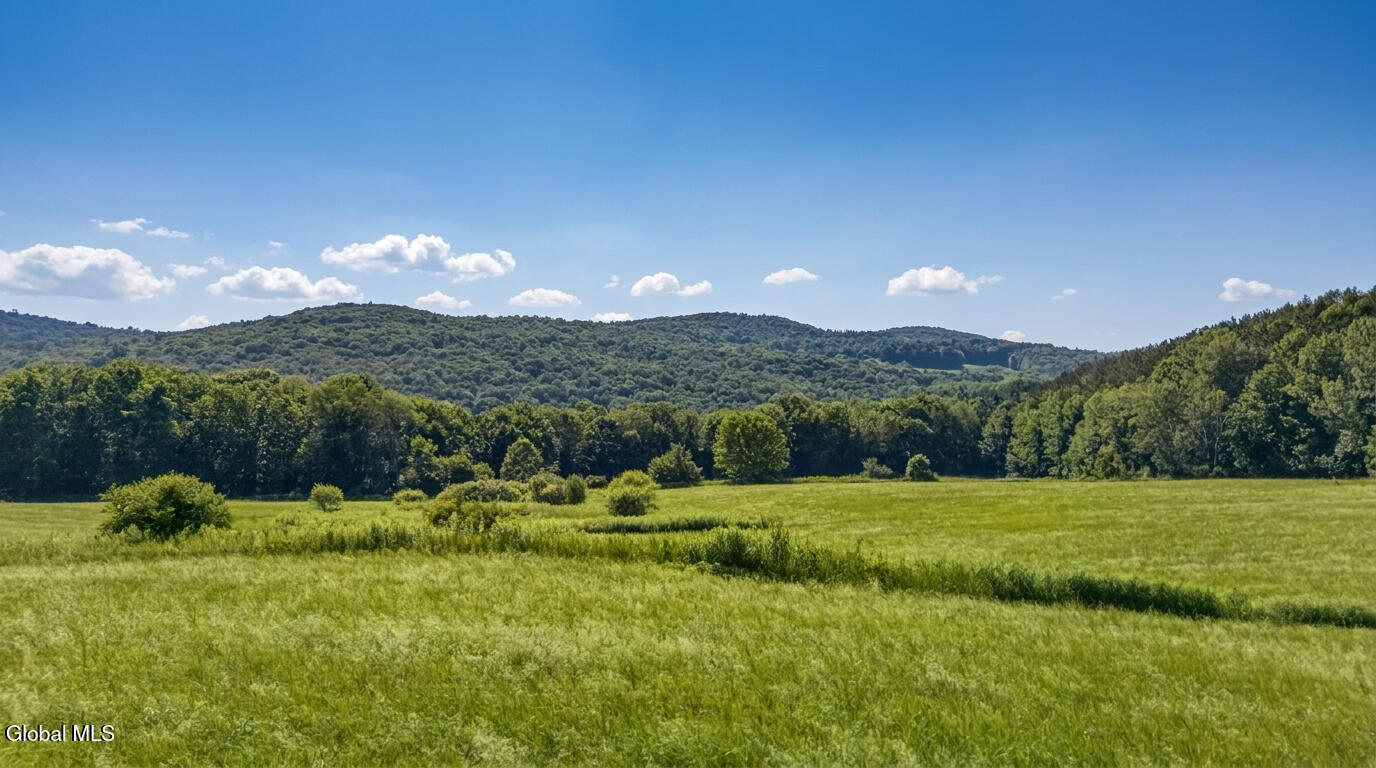 L14.02 Hinman Road Cooperstown NY 13326