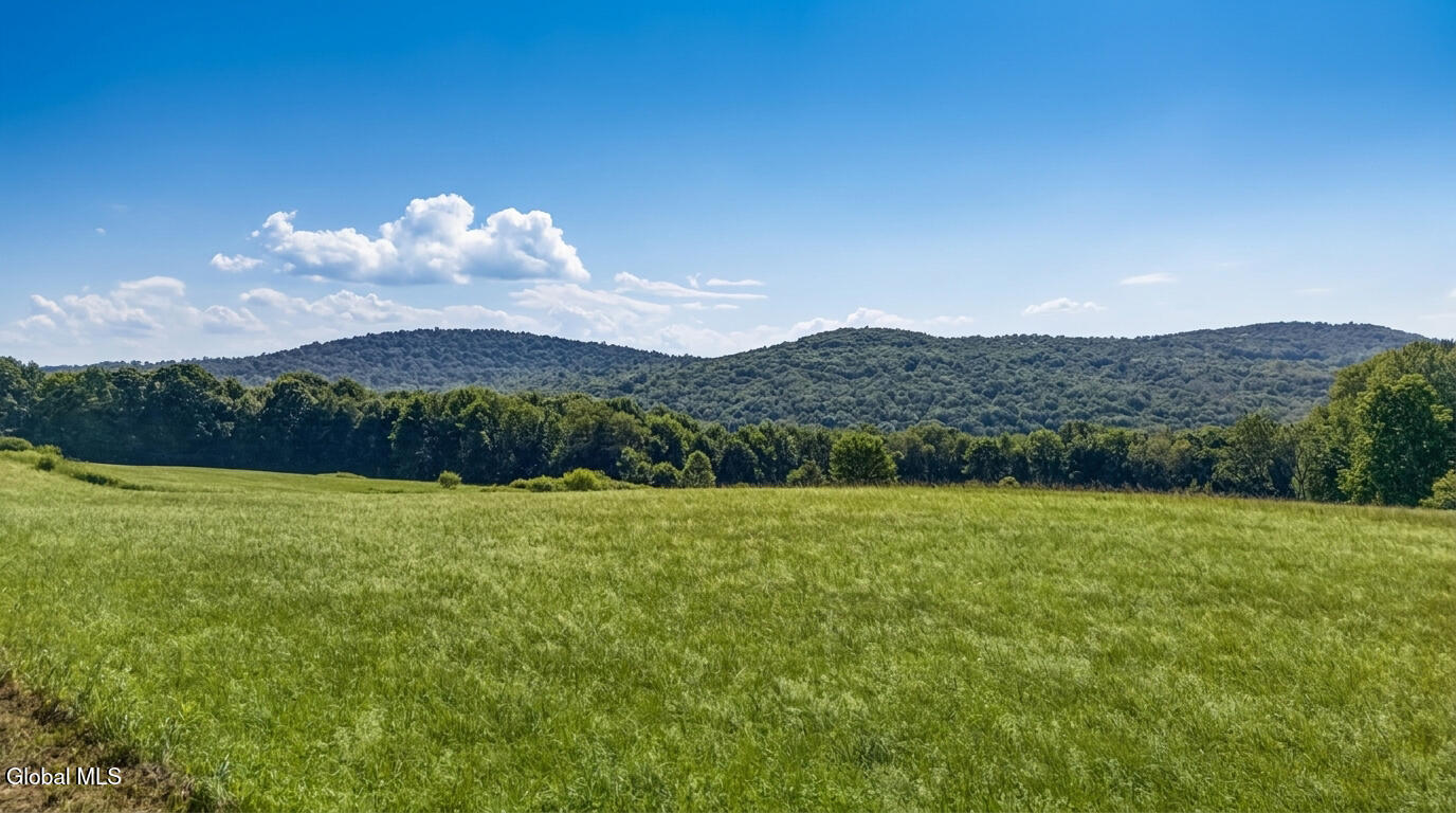 L14.02 Hinman Road Cooperstown NY 13326