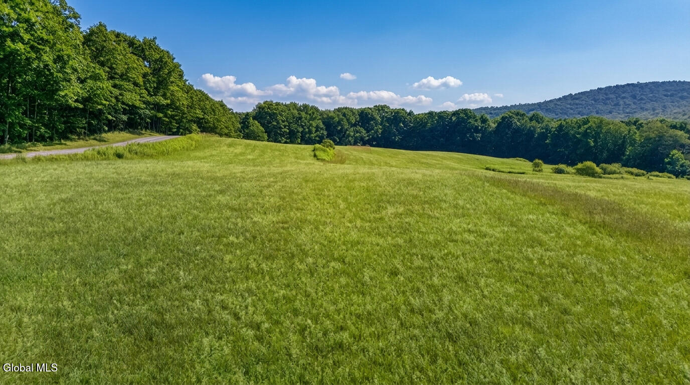 L14.02 Hinman Road Cooperstown NY 13326
