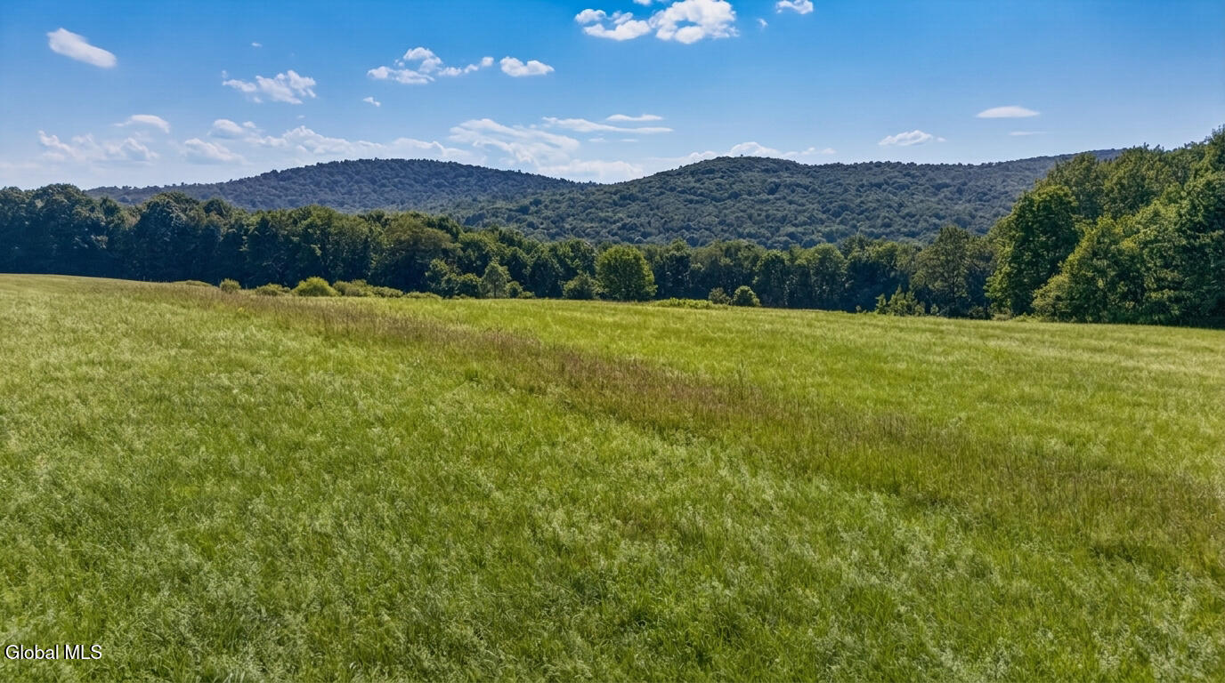 L14.02 Hinman Road Cooperstown NY 13326