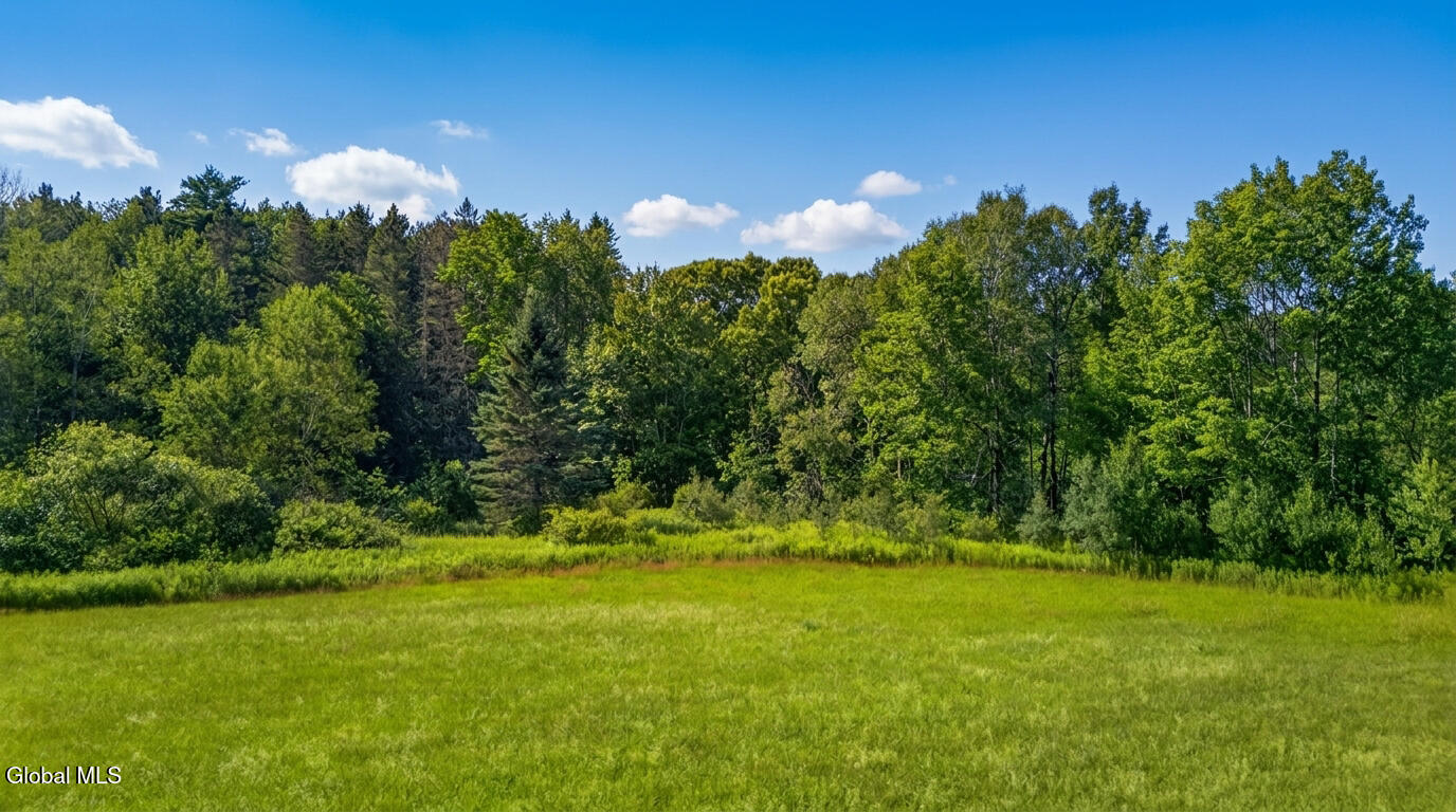 L14.02 Hinman Road Cooperstown NY 13326