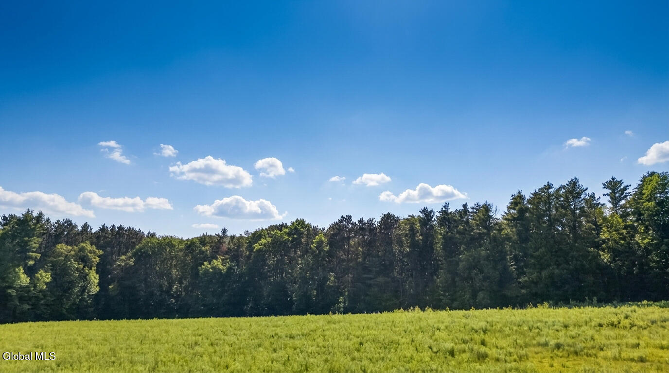 L14.02 Hinman Road Cooperstown NY 13326