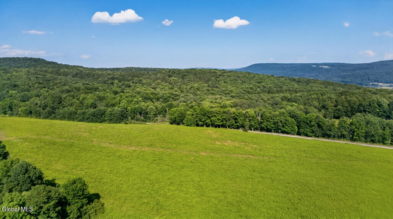 L14.02 Hinman Road Cooperstown NY 13326