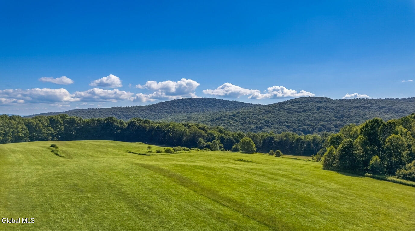 L14.02 Hinman Road Cooperstown NY 13326