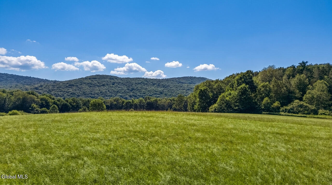 L14.02 Hinman Road Cooperstown NY 13326