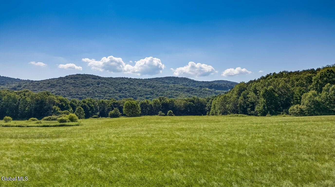 L14.02 Hinman Road Cooperstown NY 13326