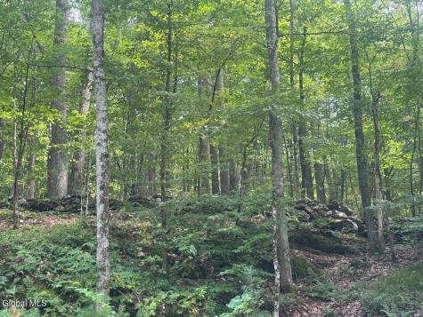 L13.5 Kilmer Road Argyle NY 12809
