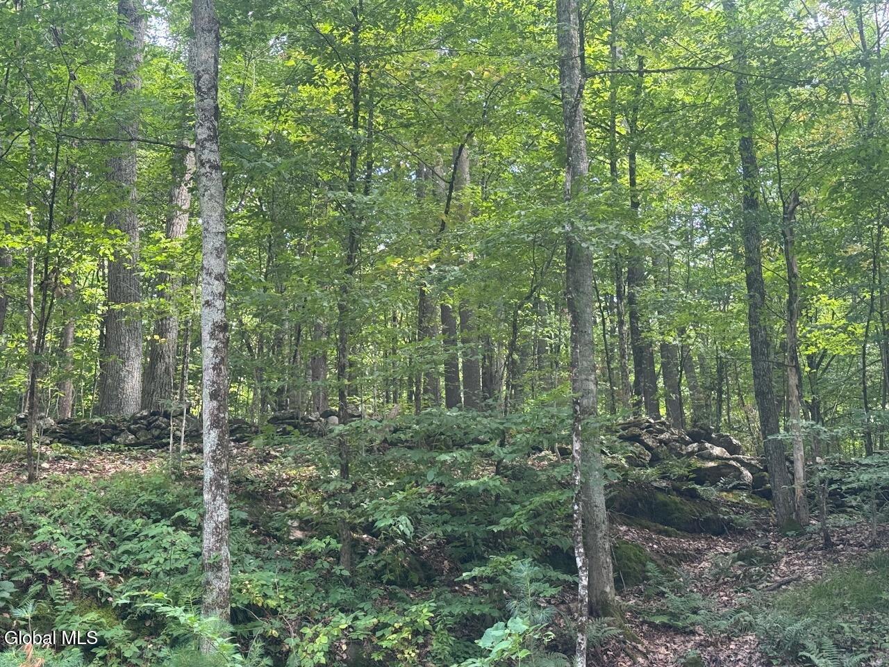L13.5 Kilmer Road Argyle NY 12809