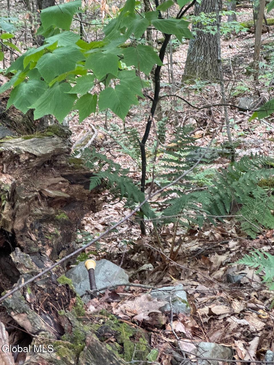 L13.5 Kilmer Road Argyle NY 12809