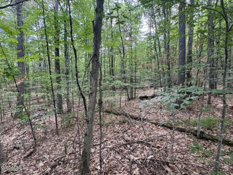L13.5 Kilmer Road Argyle NY 12809
