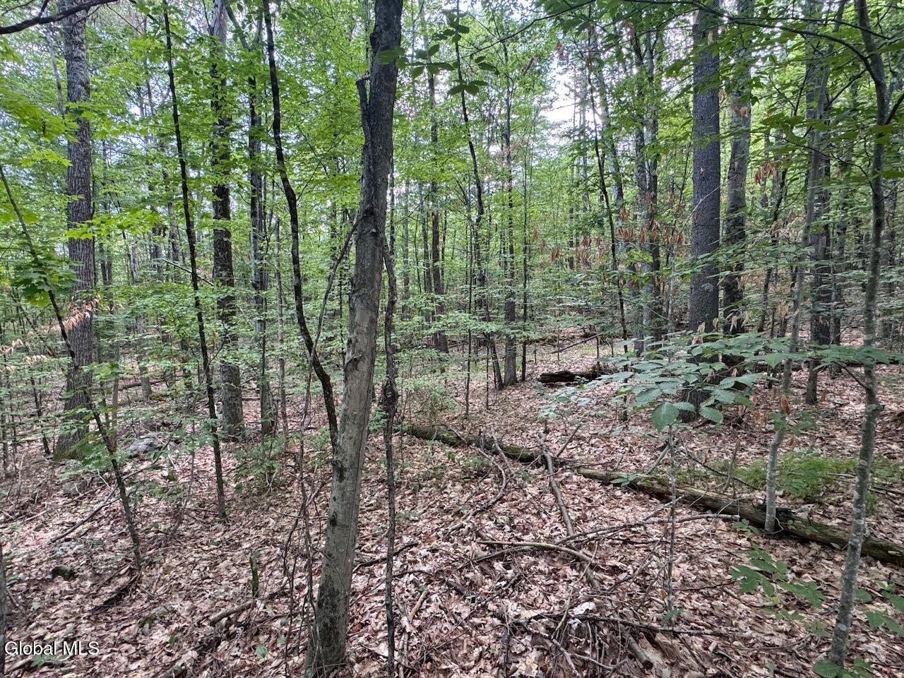 L13.5 Kilmer Road Argyle NY 12809