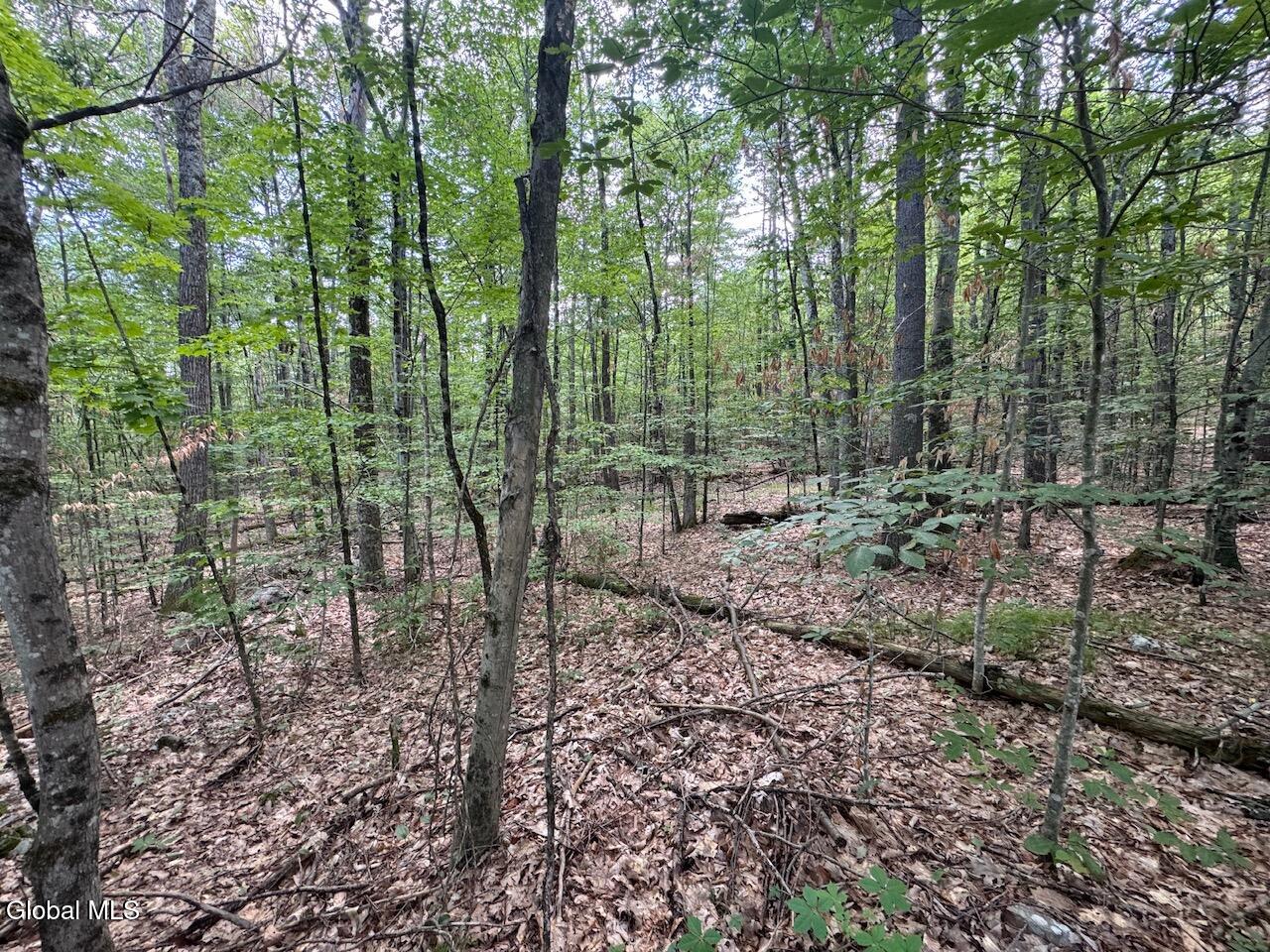 L13.5 Kilmer Road Argyle NY 12809