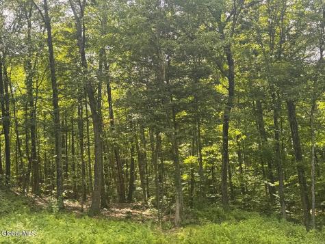L13.5 Kilmer Road Argyle NY 12809