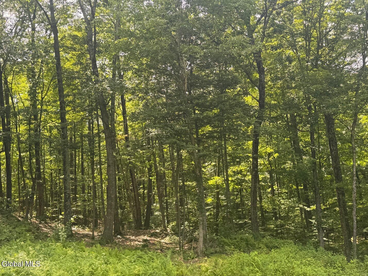 L13.5 Kilmer Road Argyle NY 12809