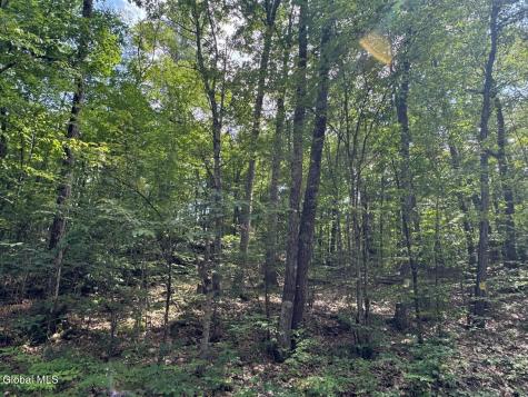 L13.5 Kilmer Road Argyle NY 12809