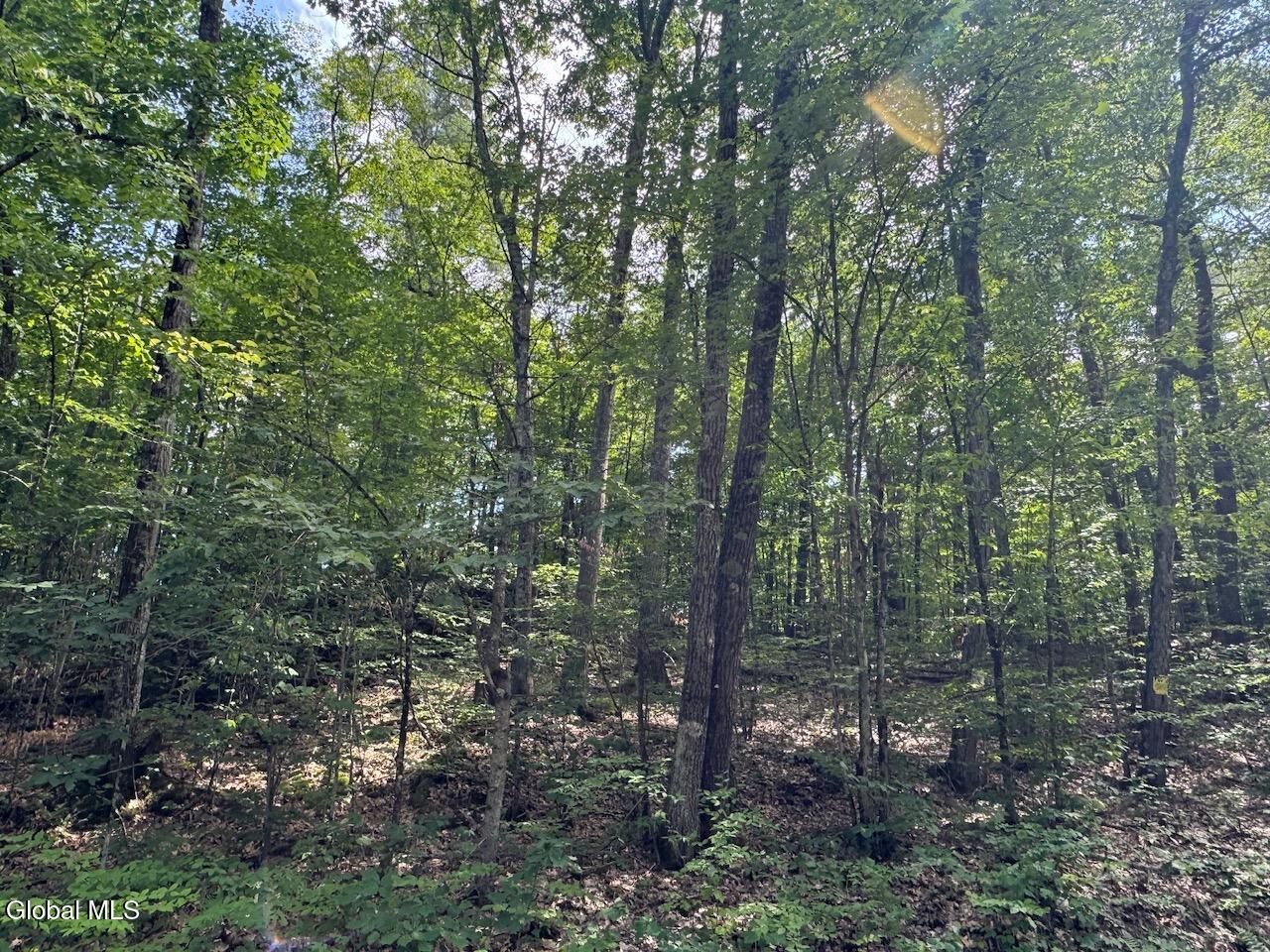 L13.5 Kilmer Road Argyle NY 12809