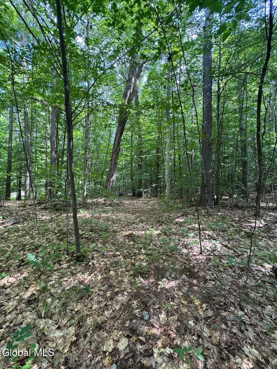 L13.5 Kilmer Road Argyle NY 12809