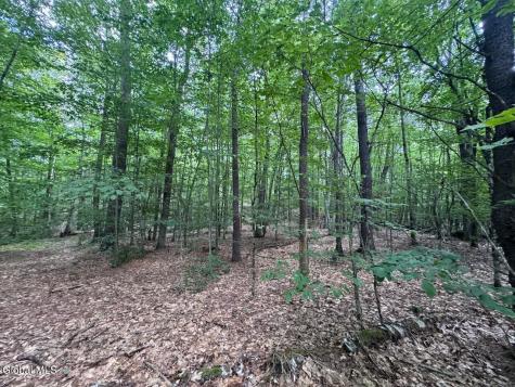 L13.5 Kilmer Road Argyle NY 12809