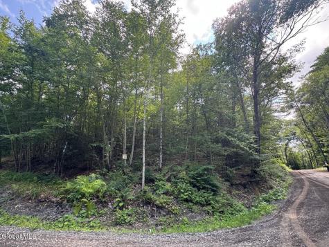L13.5 Kilmer Road Argyle NY 12809