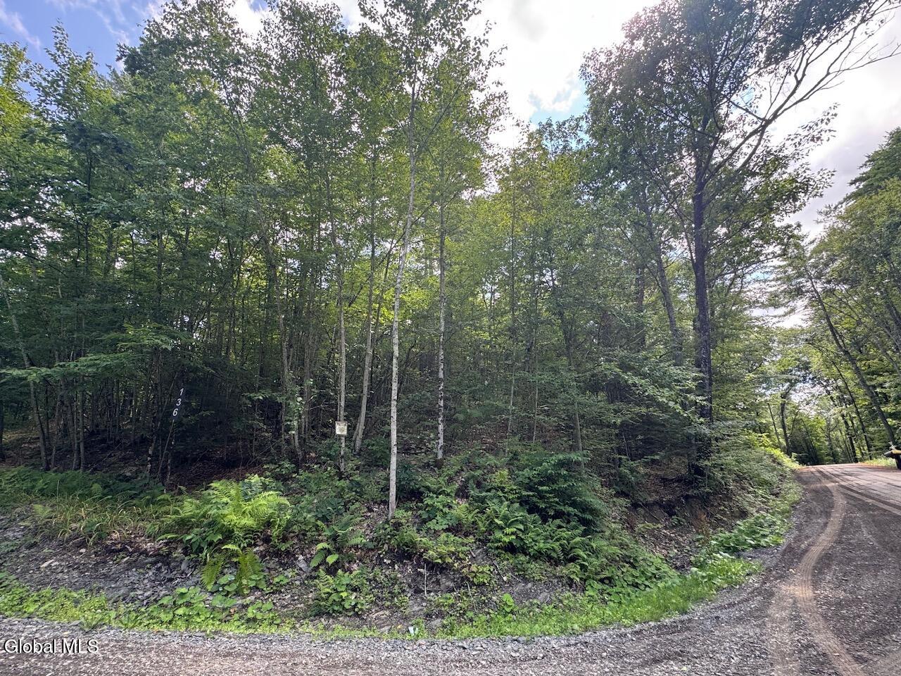 L13.5 Kilmer Road Argyle NY 12809