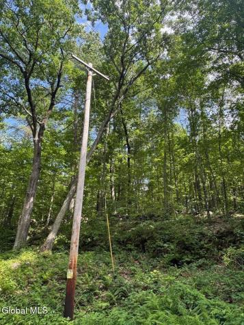 L13.5 Kilmer Road Argyle NY 12809