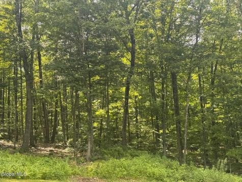 L13.5 Kilmer Road Argyle NY 12809