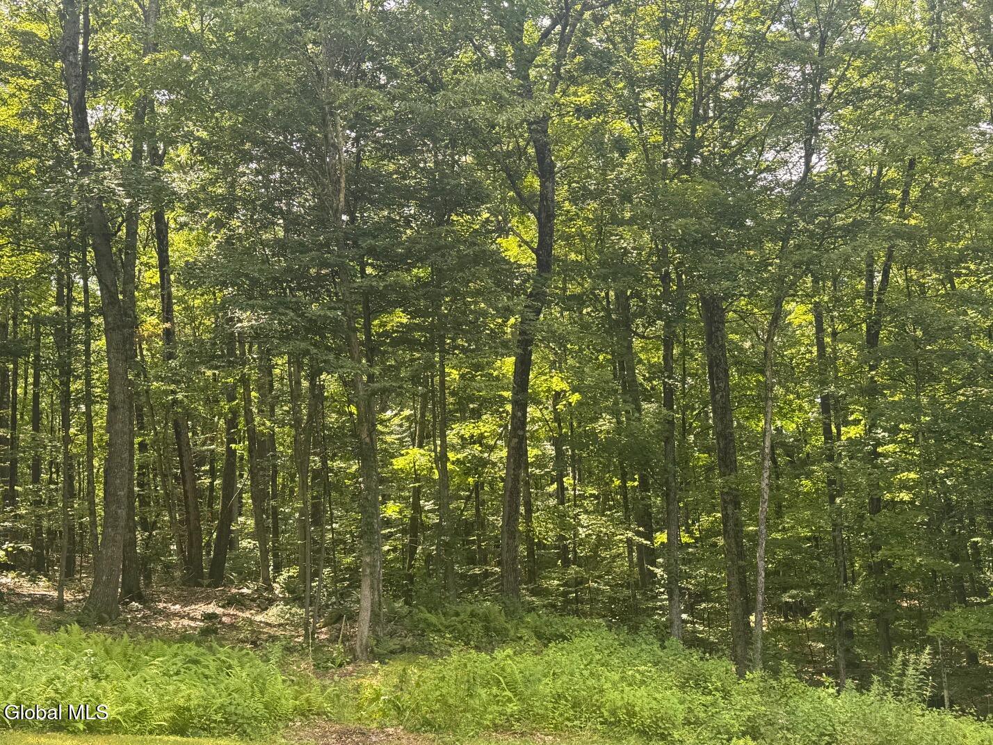 L13.5 Kilmer Road Argyle NY 12809