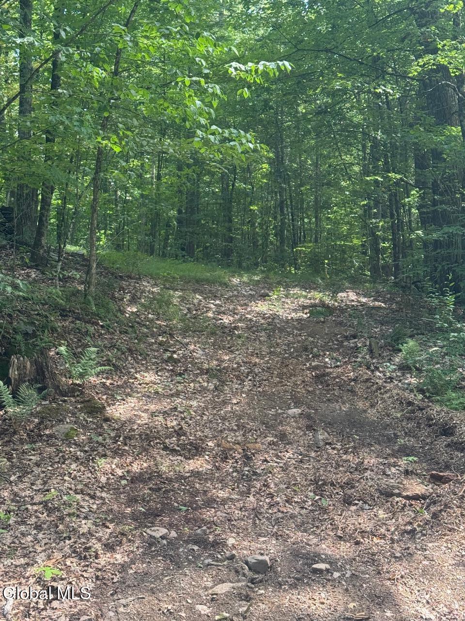 L13.5 Kilmer Road Argyle NY 12809