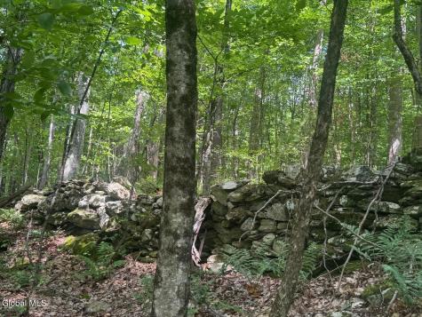 L13.5 Kilmer Road Argyle NY 12809
