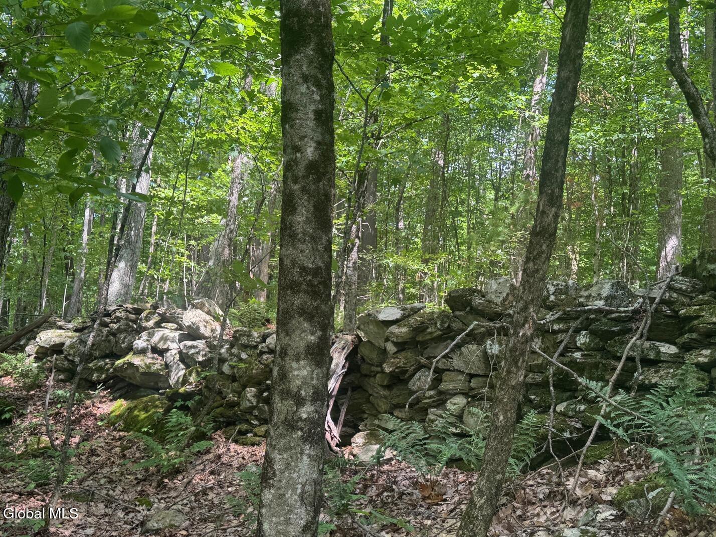 L13.5 Kilmer Road Argyle NY 12809