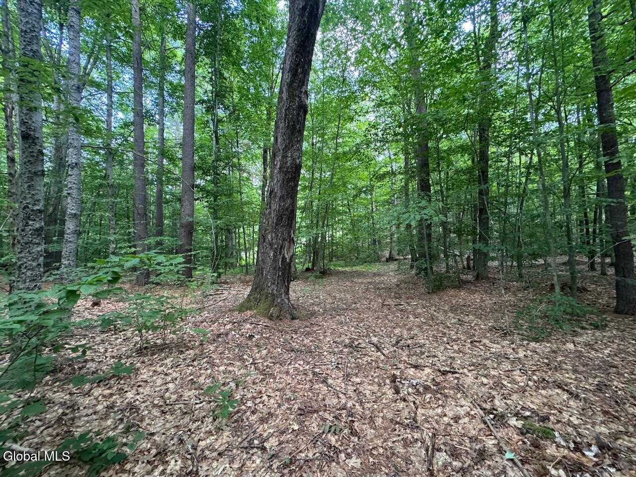 L13.5 Kilmer Road Argyle NY 12809