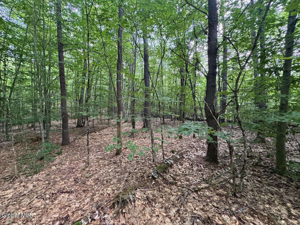 L13.5 Kilmer Road Argyle NY 12809