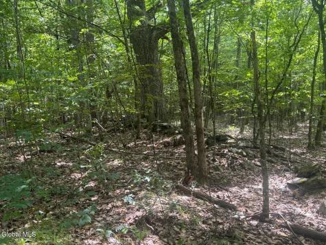 L13.5 Kilmer Road Argyle NY 12809