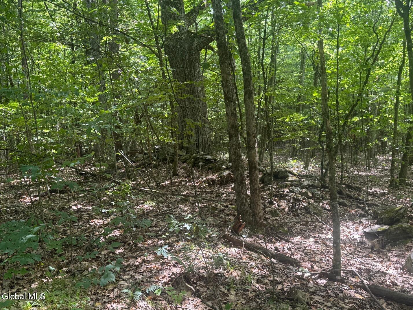 L13.5 Kilmer Road Argyle NY 12809