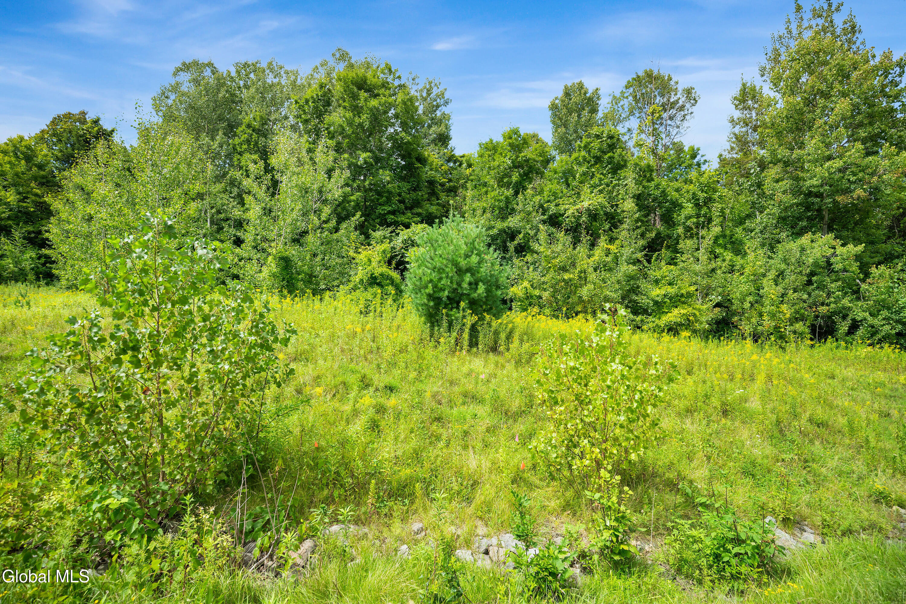 L1 Hilltop Drive Wilton NY 12866