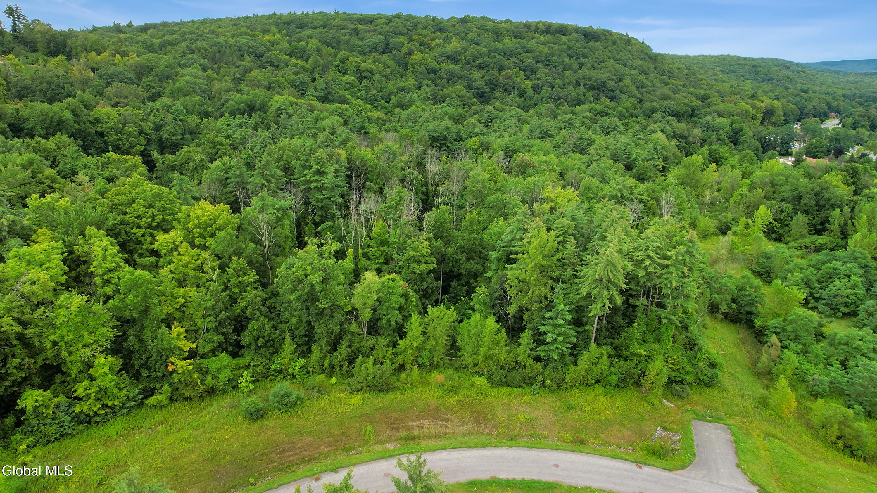 L1 Hilltop Drive Wilton NY 12866