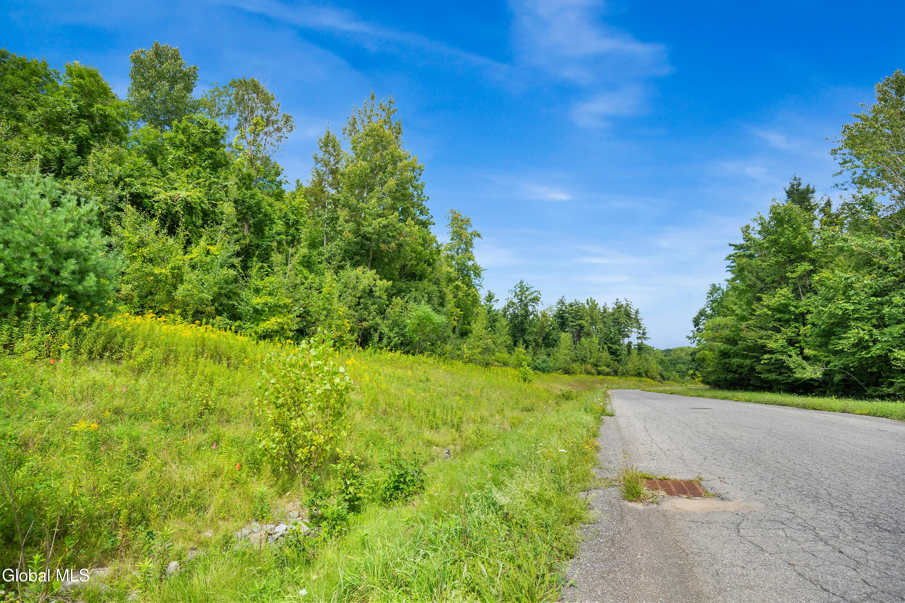 L1 Hilltop Drive Wilton NY 12866