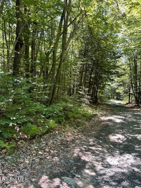 L 11 Horse Hill Road Rear Road Edinburg NY 12134