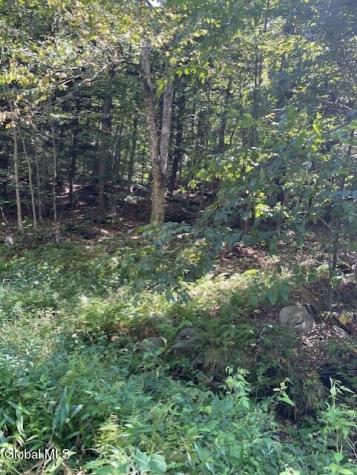 L 11 Horse Hill Road Rear Road Edinburg NY 12134