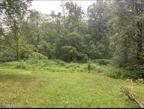 L48 Steadwell Road Amsterdam NY 12010