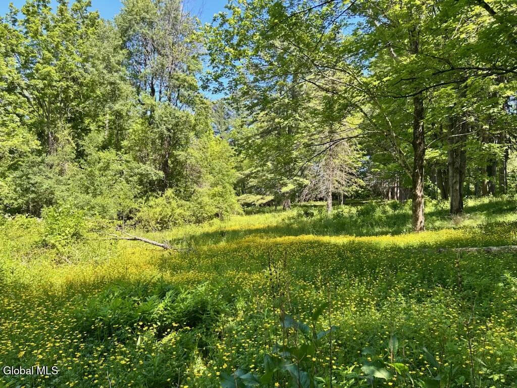 L48 Steadwell Road Amsterdam NY 12010