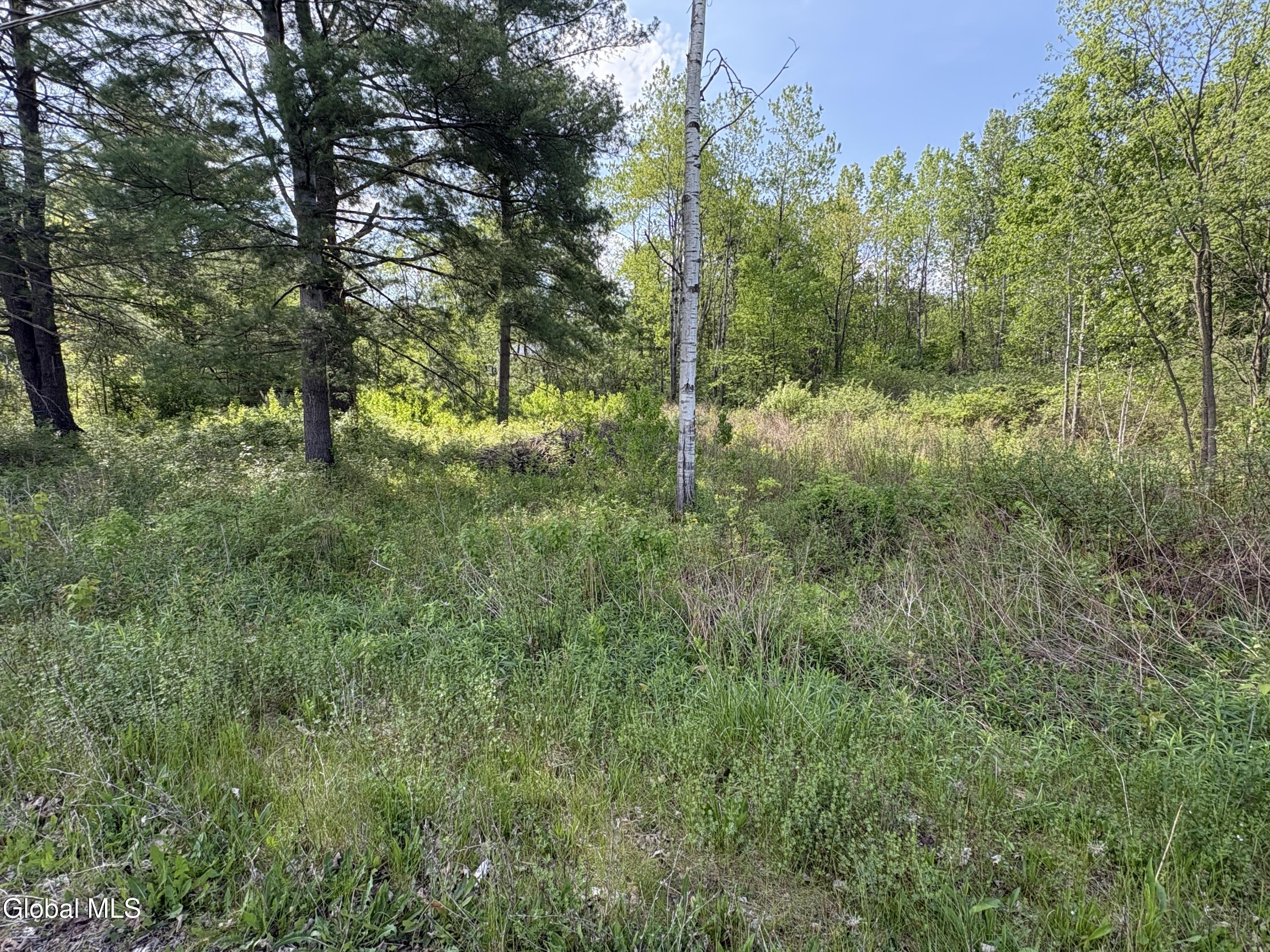 L1 Griffin Avenue Hoosick Falls NY 12090