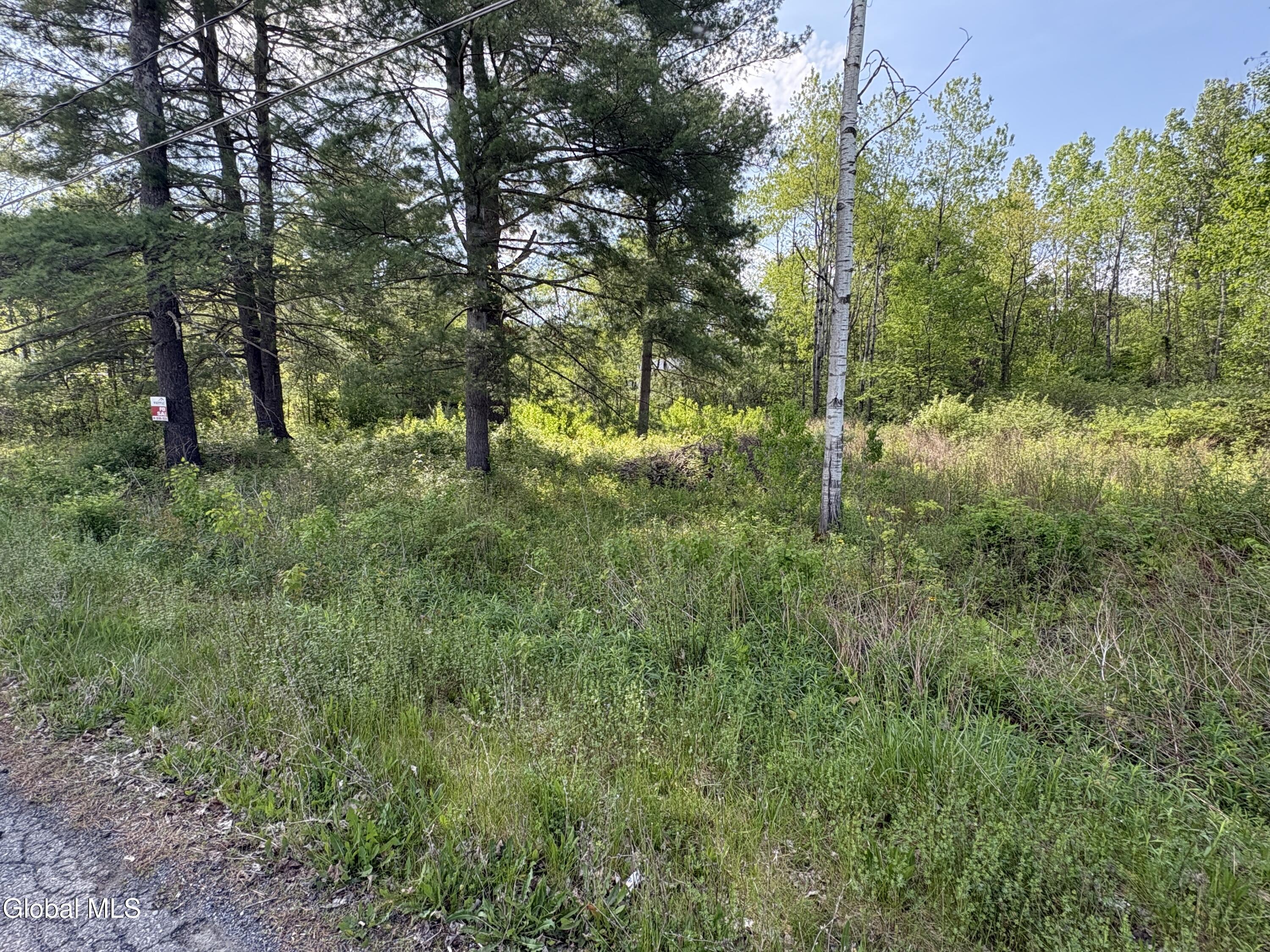 L1 Griffin Avenue Hoosick Falls NY 12090