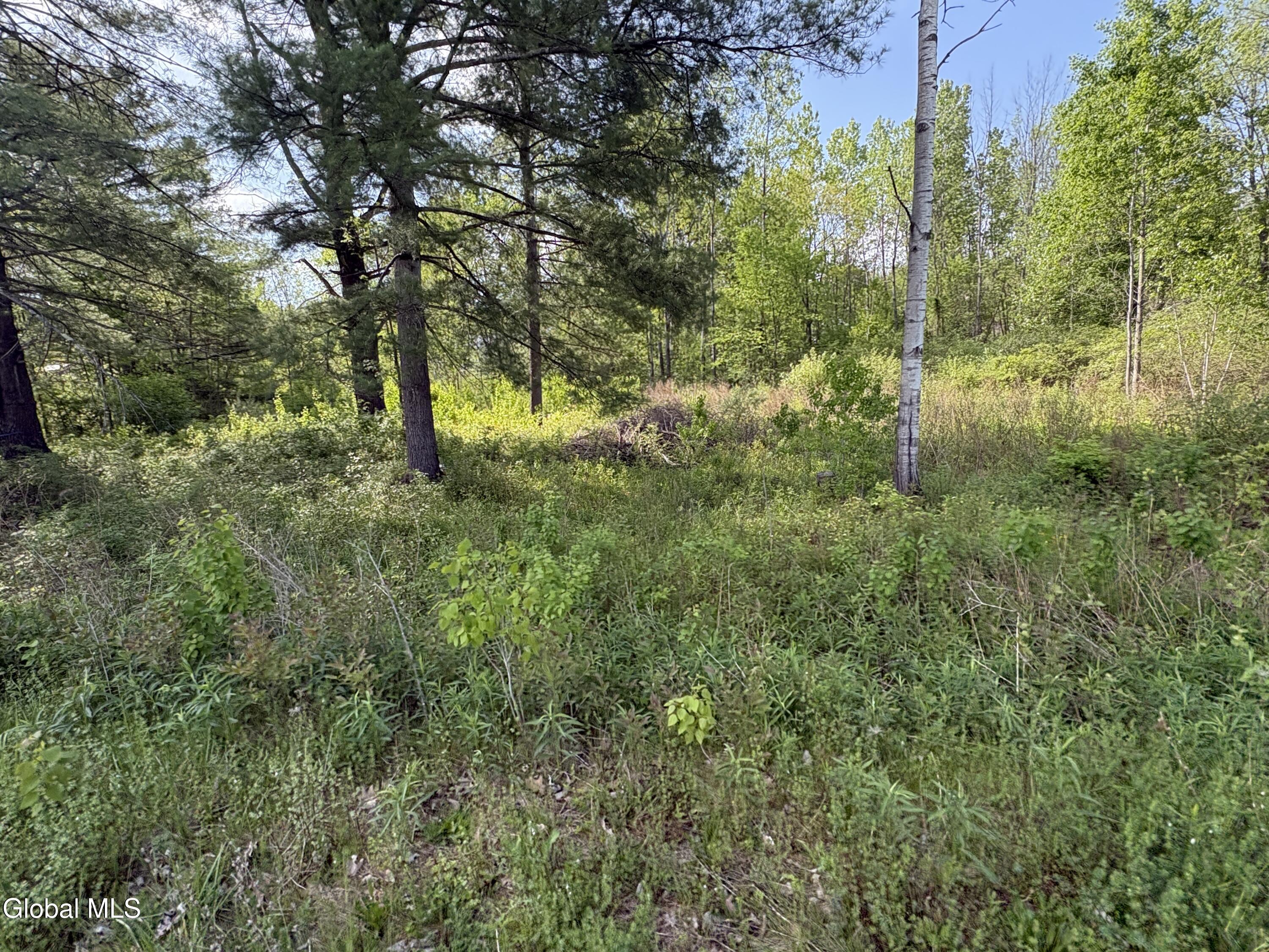 L1 Griffin Avenue Hoosick Falls NY 12090